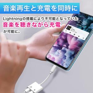 イヤホン 2個SET 変換アダプタ イヤホン変...の詳細画像2