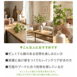 ドウダンツツジ 観葉植物 フェイクグリーン イ...の詳細画像3