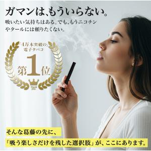 電子タバコ ゼロスティック 禁煙グッズ【累計4...の詳細画像1