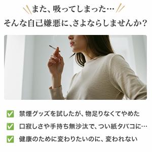 電子タバコ ゼロスティック 禁煙グッズ【累計4...の詳細画像4