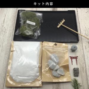 苔プリ 枯れない苔 枯山水キット 日本庭園 枯...の詳細画像4