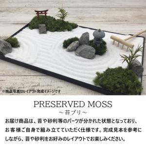 苔プリ 枯れない苔 枯山水キット 日本庭園 枯...の詳細画像3