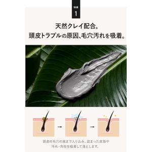 シャンプー つめかえ用 メンズ 男性用 ボタニ...の詳細画像3