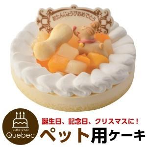 犬用・猫用ケーキ 誕生日ケーキ レアチーズケーキ 記念日ケーキ