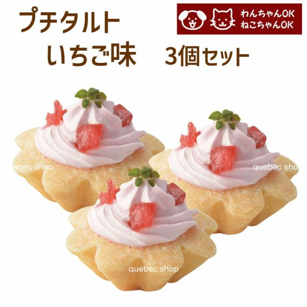 犬 猫 兼用 cake ペットケーキ プチタルト 苺 3個セット ペット用 誕生日 記念日