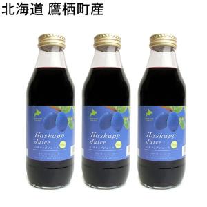 (予約販売・お届け７月末)　北海道 鷹栖町産 ハスカップジュース 500ml×3本｜quebec