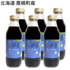 (予約販売・お届け７月末)　北海道 鷹栖町産 ハスカップジュース 500ml×6本セット｜quebec