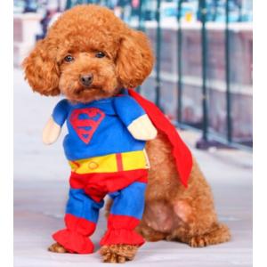 犬 服 スーパーマンの商品一覧 通販 Yahoo ショッピング