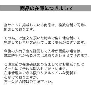緑の魔女 トイレ用洗剤 本体 420mL KNの詳細画像3
