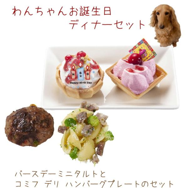 犬 誕生日 ご飯  バースデーミニタルト（2個）とコミフデリ ハンバーグプレートのセット  わんちゃ...
