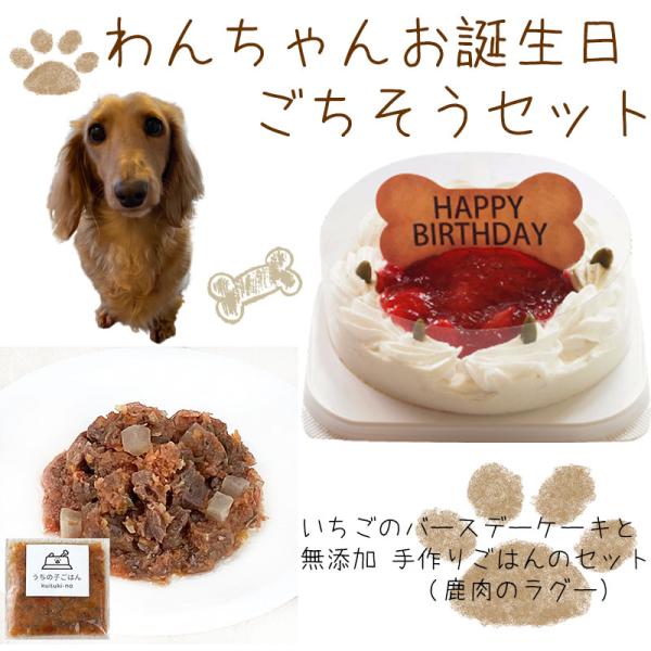 わんちゃんお誕生日ごちそうセット コミフ いちごケーキと 無添加 手作り 犬用ごはん 鹿肉のラグー（...