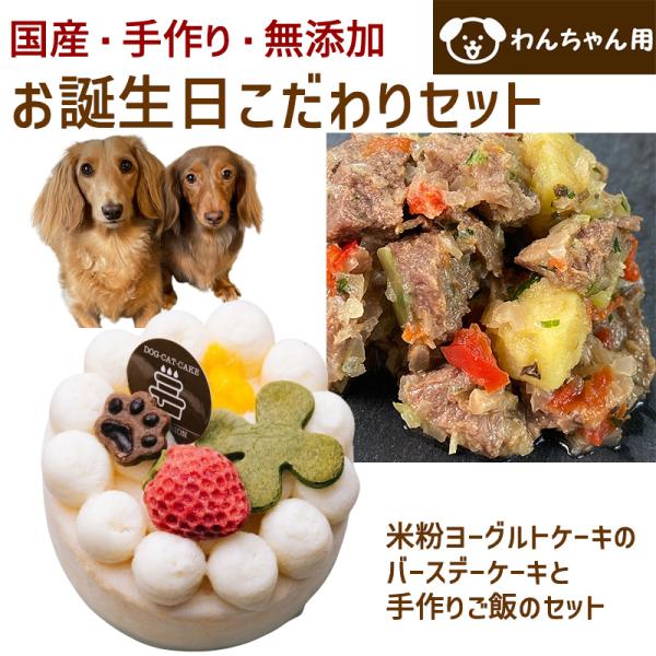 わんちゃんお誕生日こだわりセット 愛犬のお祝いケーキ マンゴー入り米粉ヨーグルトケーキと手作り 犬用...