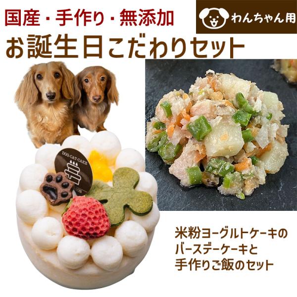 わんちゃんお誕生日こだわりセット 愛犬のお祝いケーキ マンゴー入り米粉ヨーグルトケーキバースデーケー...
