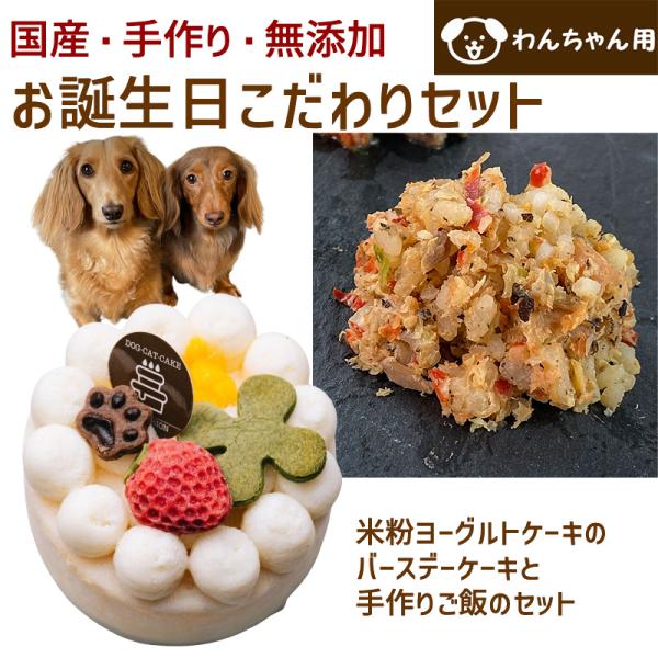 わんちゃんお誕生日こだわりセット 愛犬のお祝いケーキ マンゴー入り米粉ヨーグルトケーキバースデーケー...