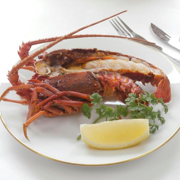 徳島 「吟月」 天然冷凍伊勢海老（２尾） 離島は配送不可