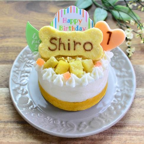 【Wagわん】犬用 誕生日ケーキやわらかりんごムース(米麹入り) お名前・年齢入り バースデーケーキ