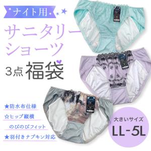 大きいサイズ レディース 下着 サニタリーショーツ 福袋 ３枚セット 夜用 ナイト用 多い日用 LL 3L 4L 5L 新入荷 メール便可