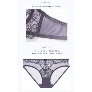ブラジャー ショーツ セット 大きいサイズ セ...の詳細画像5