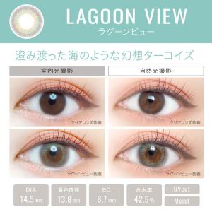 【20%OFFクーポン】エバーカラーワンデー ...の詳細画像3