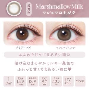 【20%OFFクーポン】エバーカラーワンデーナ...の詳細画像5