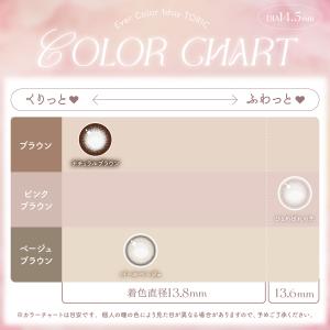 【乱視用】【先行販売】エバーカラーワンデー ト...の詳細画像5