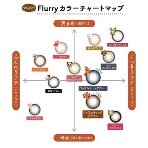 フルーリーマンスリー Flurry Month...の詳細画像1