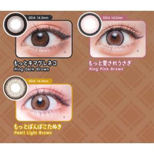 フルーリーマンスリー Flurry Month...の詳細画像3