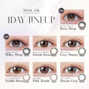 【1箱分無料|10枚入×3箱】計30枚 MOL...の詳細画像1