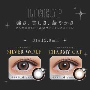 リセイ RESAY (1箱10枚入り) ( カ...の詳細画像1