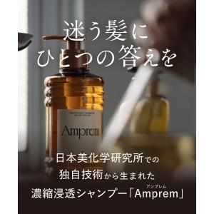 先行予約【8月24日発売】Amprem アンプ...の詳細画像2