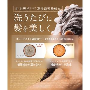 先行予約【8月24日発売】Amprem アンプ...の詳細画像4