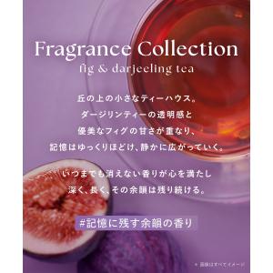 【夏限定】ボタニスト シャンプーリンスセット ...の詳細画像2