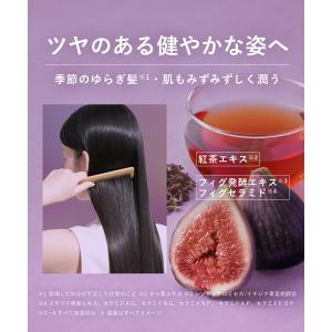 【夏限定】ボタニスト シャンプーリンスセット ...の詳細画像4