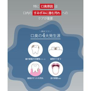 歯磨き粉 ハミガキ BUBLOS バブロス 炭...の詳細画像4