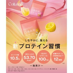 プロテイン プロテイン女性 コラーゲンプロテイ...の詳細画像1