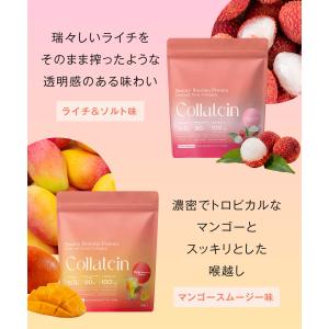 【2個セット】 プロテイン コラテイン 飲みや...の詳細画像3
