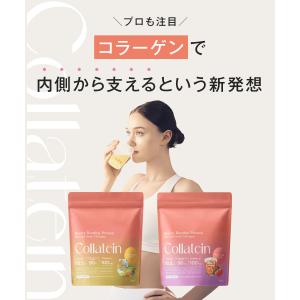 プロテイン プロテイン女性 コラーゲンプロテイ...の詳細画像4