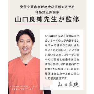 プロテイン プロテイン女性 コラーゲンプロテイ...の詳細画像5