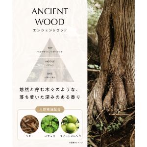 アロマディフューザー PHYLIA フィリア ...の詳細画像5