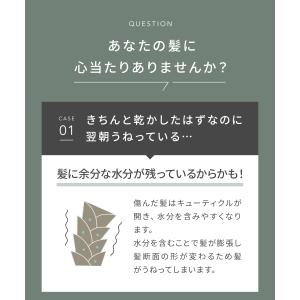 ドライヤー 速乾 サロニア SALONIA 公...の詳細画像5