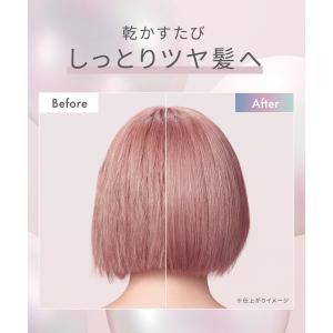 ドライヤー 速乾 サロニア SALONIA公式...の詳細画像4