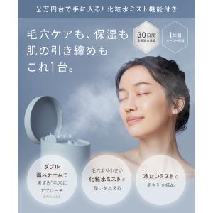 スチーマー 美顔器 SALONIA サロニア ...の詳細画像2