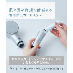 SALONIA サロニア 塩素除去カートリッジ...の詳細画像5