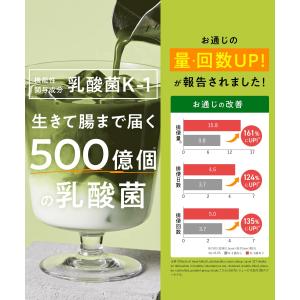 公式 Teaflex ティーフレックス グリー...の詳細画像5