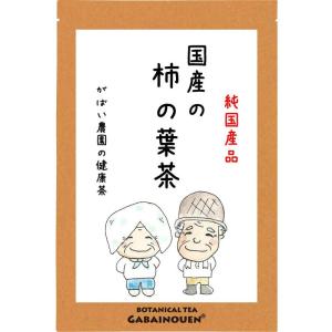 がばい農園 国産 手作り 柿の葉茶 3g×40包 ティーパック 無添加 ノンカフェイン 健康茶 徳島県産｜quessstore