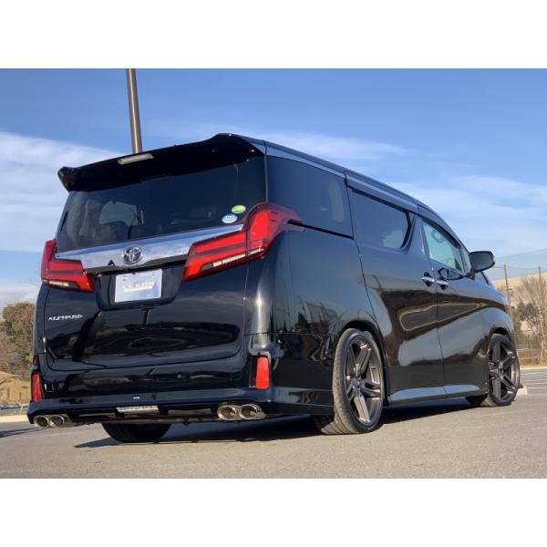 アルファード 30系 - エアログレード車用 - リアアンダースポイラー【未塗装品】