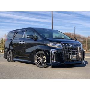 アルファード 30系 - エグゼクティブラウンジ専用 サイドスカート【未