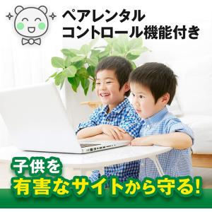 永続3デバイス AdGuard パーソナル W...の詳細画像4