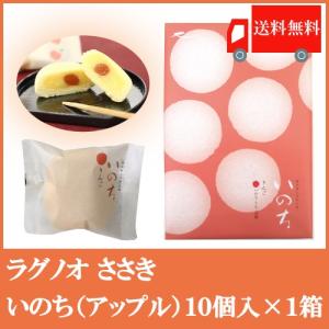 ラグノオ ささき いのち アップル 10個入×1箱 りんごカスタードケーキ