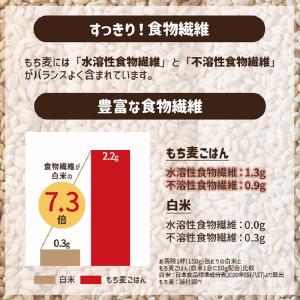 もち麦 はくばく もち麦ごはん 800g 2袋...の詳細画像2